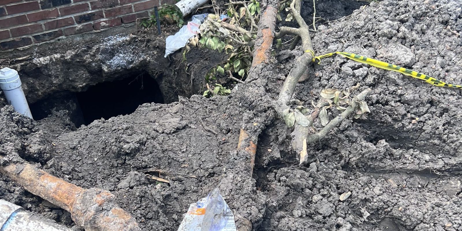 Rusted cast iron sewer pipe and a tree root dug out beside a foundation.